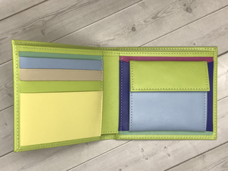 Портмоне QOPER Bifold light green-rainbow