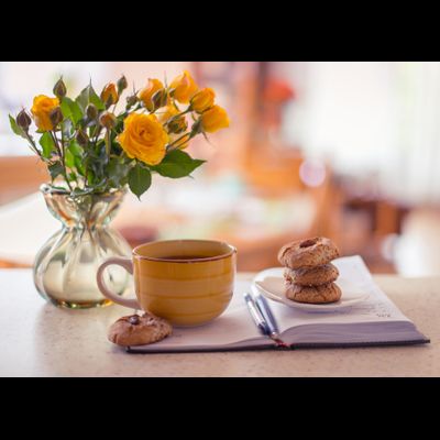 D0309 Нежное утро