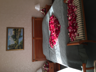 Оформление номера | ванной лепестками роз и цветами № 1494