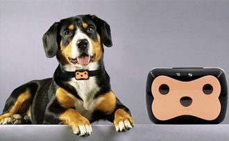 Трекер Pet GPS Tracker для собаки оптом