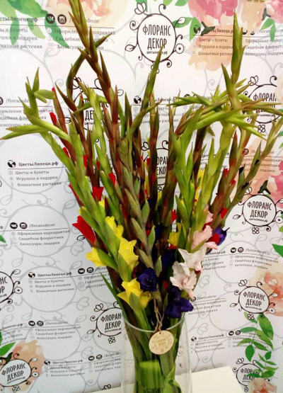 Букет гладиолусов