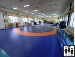 Покрышка борцовская 12х12м плотность 650 гр*м2 двухцветная под рейку DNN