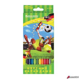 Карандаши цветные BRAUBERG «Football match», 12 цветов, заточенные, картонная упаковка. 180534