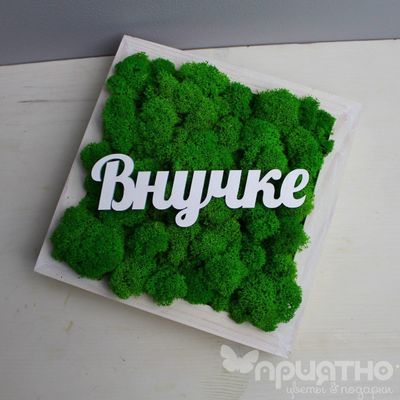 Живая Эко-Картина "Внучке" 1084