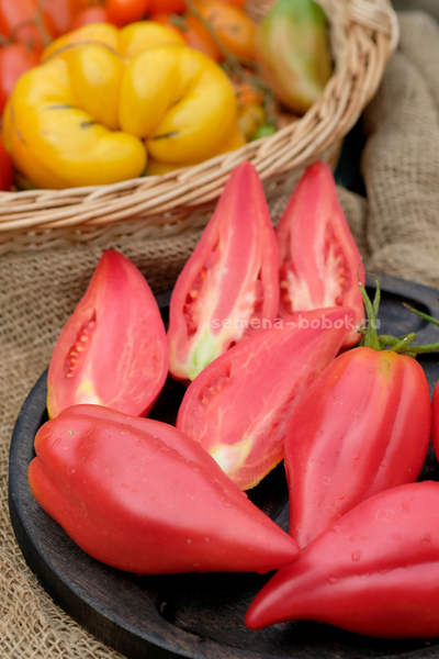 Томат Тюльпан Розовый, 5 шт