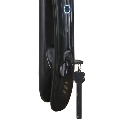 Электронный замок Smart lock DZ 888