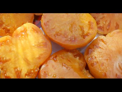 Томат Амана Оранж (Amana orange)