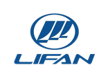 Ковры в салон LIFAN