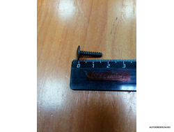 3,6*15,9 черная облицовки порога ВАЗ 2123 ( цена за 100 шт.)