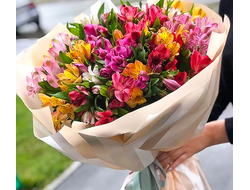 Альстрамерия