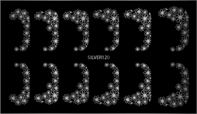 SILVER120