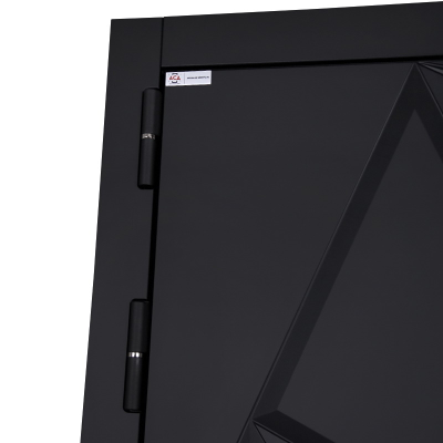 Стальная дверь   Аша 3Д (биометрический замок). Заказная модель.