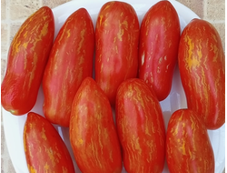 Томат Джалпа