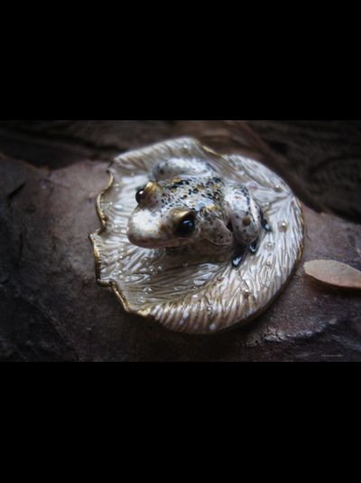 &quot;Сказка о первом снеге&quot;, мини брошь с лягушкой и микробисером