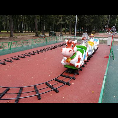 Детская железная дорога «Деревенька»