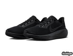 NIKE AIR PEGASUS 41 BLACK (40-45)