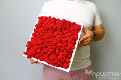 Живая Эко-Картина 1082