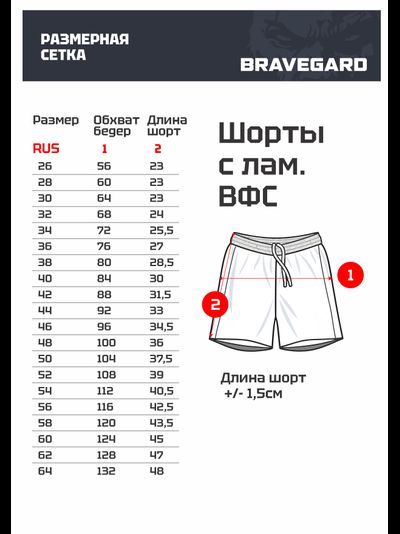 Шорты для самбо ВФС BRAVEGARD Победа красные