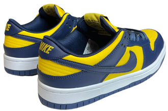 Nike Air Force 1 SB Dunk Low Michigan