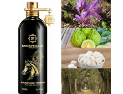 Montale Arabians Tonka