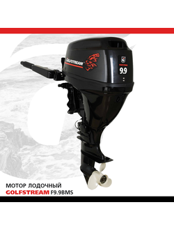 Мотор лодочный GOLFSTREAM F9.9BMS