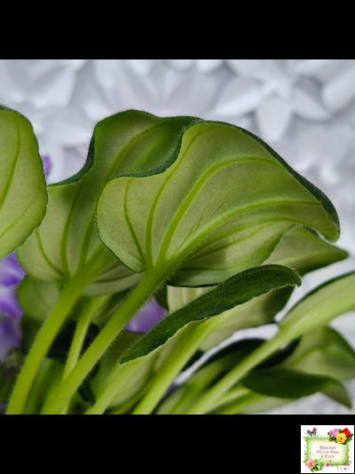 LV-Цветы для Любимого (Л. Шевелева) 2025 г. трейлер (клакамасный лонг)