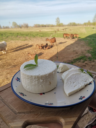 Сыр из козьего молока мягкий молодой с фермы в МО | ферма СытникЪ