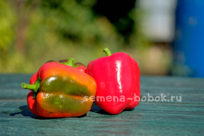 Перец сладкий Калифорнийское Чудо, 10 шт