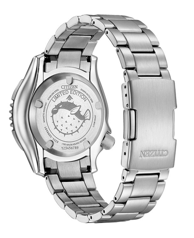 Наручные часы Citizen NY0160-66E