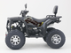 Квадроцикл Nishman 250