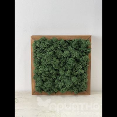 ЖИВАЯ ЭКО-КАРТИНА 1064