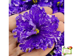 ВаТ-Ливень (Т.Валькова) 2018 г.