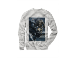 Свитшот Fallout, Фоллаут №26