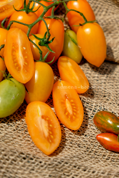 Томат Märchengold (Сказочное Золото), 10 шт