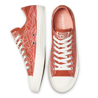 Кеды Converse Chuck Taylor All Star Summer Daze Low Top красные