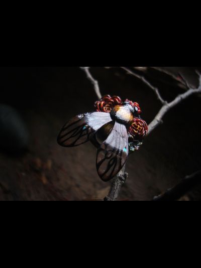 Коллекционное кольцо "Царевич Шмель в цветущем саду"