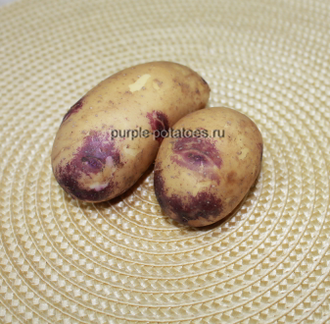 Картофель Красотка