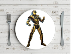 Тарелка Мортал Комбат, Mortal Kombat №26