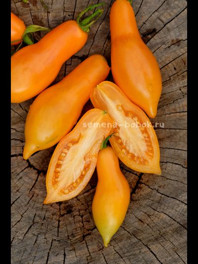 Томат Валентино ( Valentino ), 10 шт