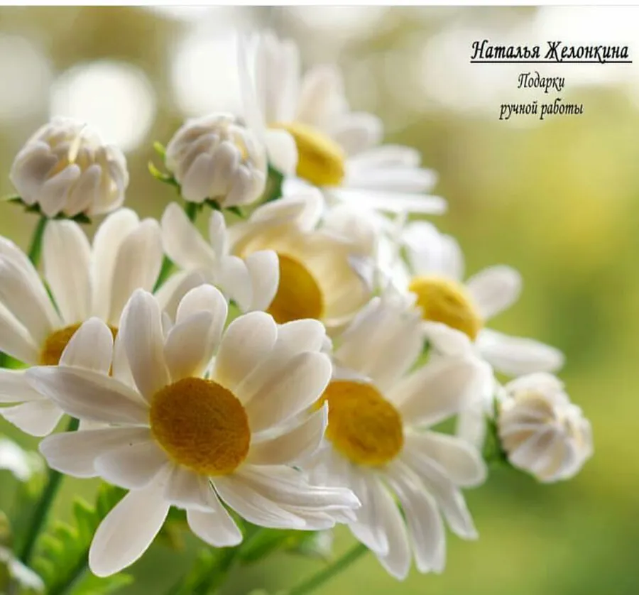 Ромашки работы Натальи Желонкиной . Использован молд "Лепестки и серединка ромашки"