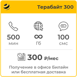 Билайн Терабайт 300