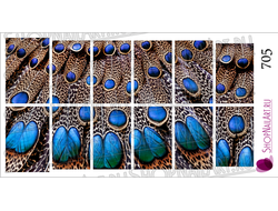 Слайдер-дизайн 705