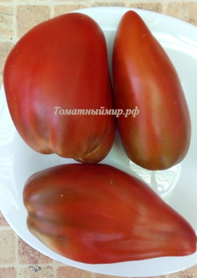 Томат Кубинский перцевидный