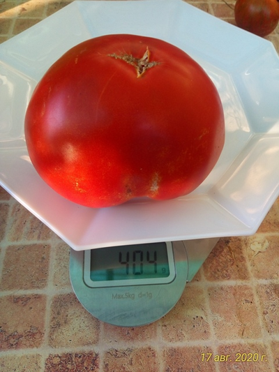 Томат Хелен немецкий (Helen's German)