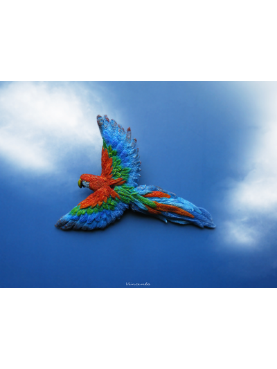 Ара, настоящий попугай. Брошь с попугаем. Миниатюра из полимерной глины