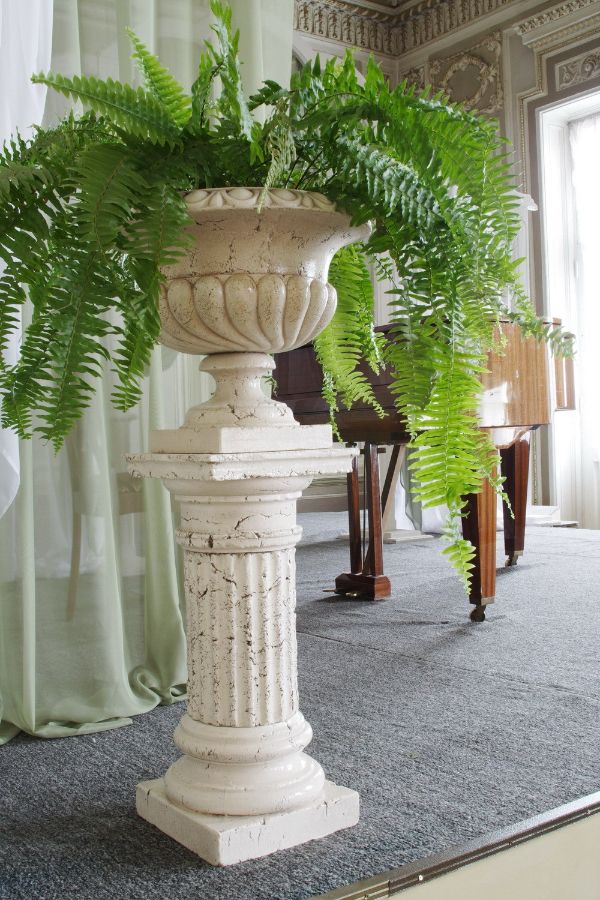 ваза с цветами расположены на пьедестале