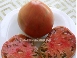 Томат Тундра (Tundra), Канада