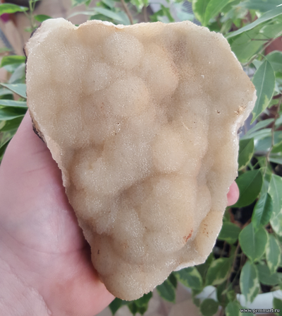 Кальцита, сферолиты на окисленной породе. Россия. 140*100*96мм