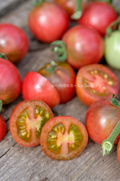 Томат Гном Противоречия (Controversy), 10 шт