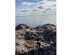 Масло АККОРД: ПРИКОСНОВЕНИЯ, 11 мл